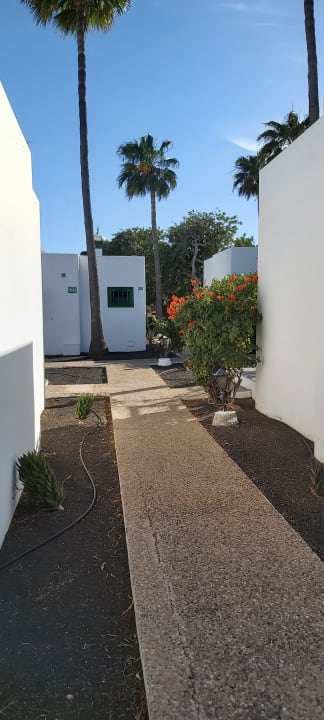 Gartenanlage Hotel Hyde Park Lane