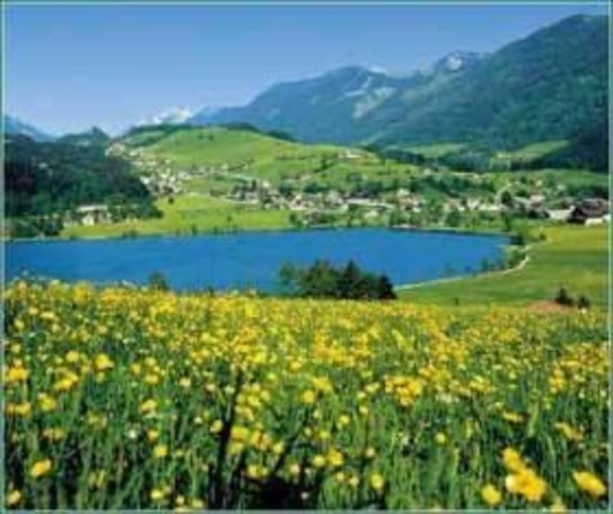 Landschaft Ausblick Pension Ticklhof am See