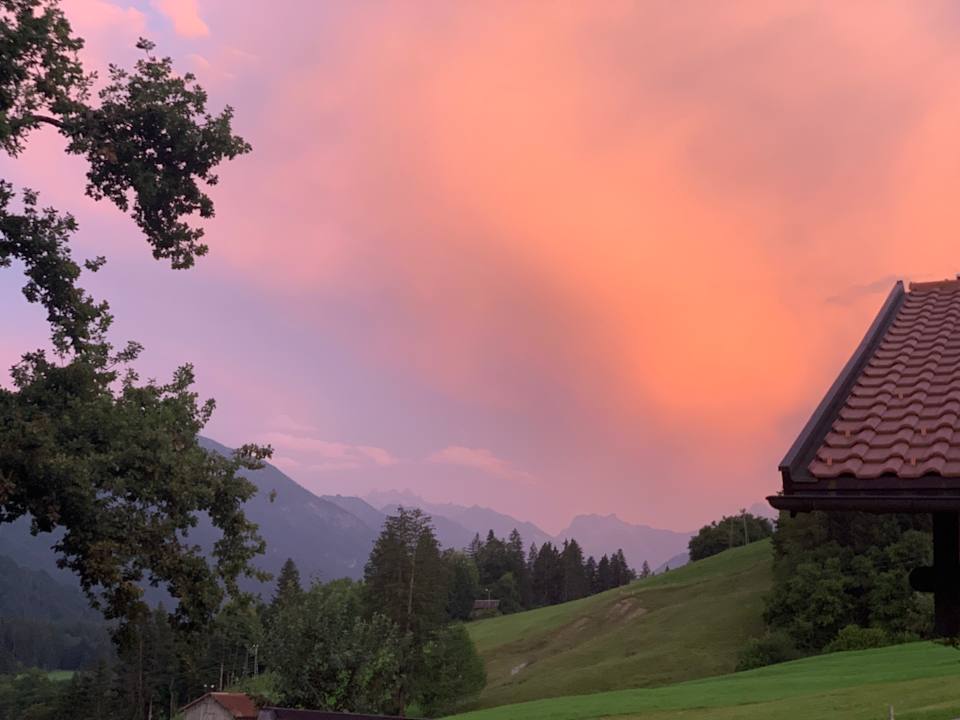 Ausblick Hotel Alpenblick