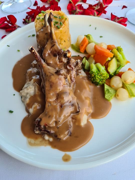 Gastro TUI BLUE Barut Andız - All Inclusive - Adults Only