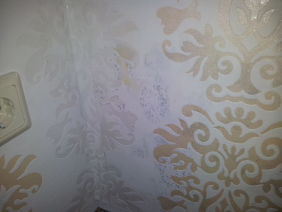 Schimmel? Hotel Dünenläufer