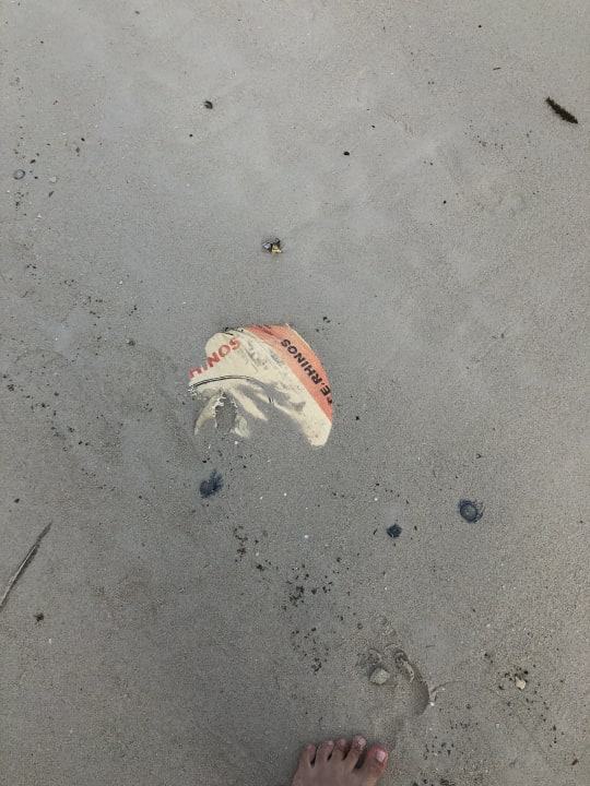 Strand Hotel Al's Hut