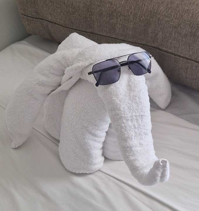 Zimmer JAZ Elite Asteria