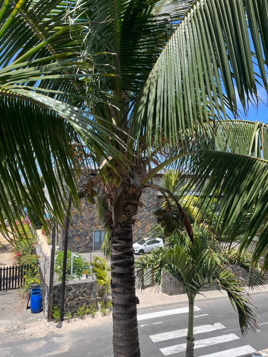 Ausblick Radisson Blu Poste Lafayette Resort & Spa - Adults only