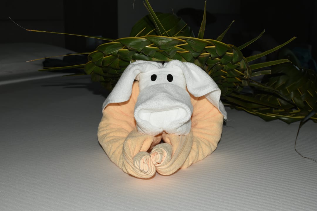 Zimmer Hotel Riu Palace Maldivas