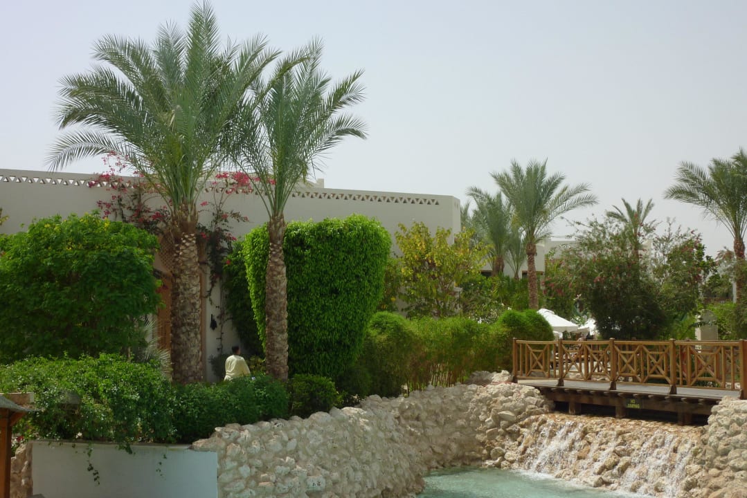 Pool Ghazala Gardens