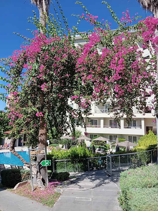 Gartenanlage Justiniano Club Alanya