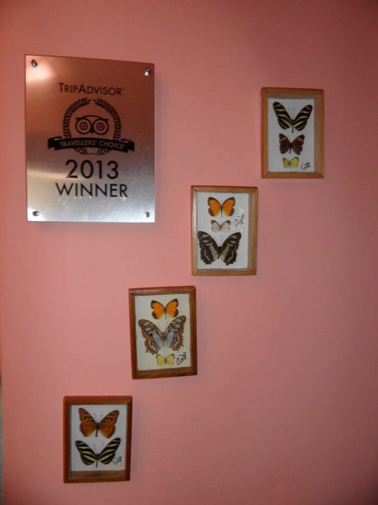 Auszeichnungen Hostal Osmary y Alberto