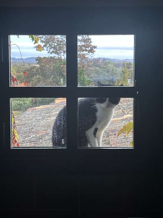 Sonstiges Finca Sa Cova den Borino