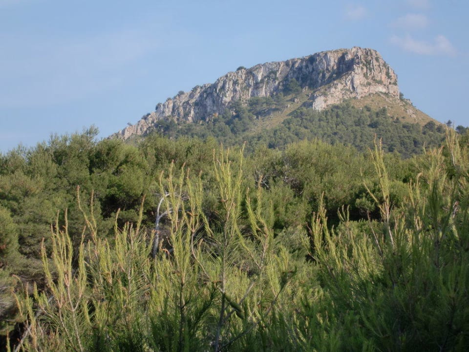 Blick von Dachterrasse VIVA Cala Mesquida Suites & Spa 16+