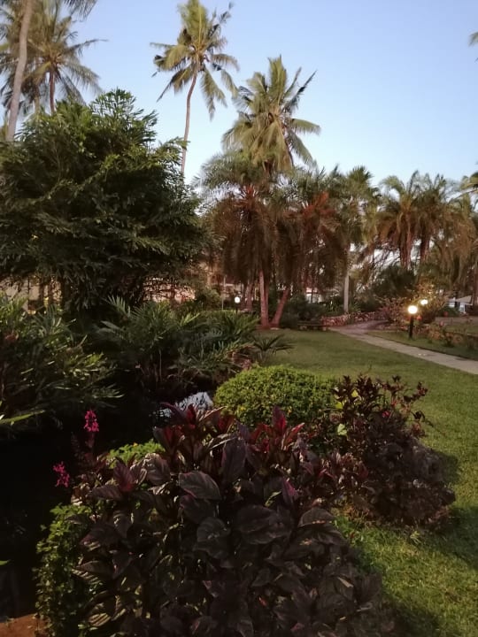 Gartenanlage Bahari Beach Hotel
