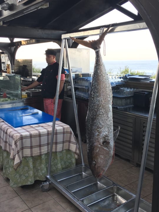 Restaurant Hotel Kalithea Horizon Royal