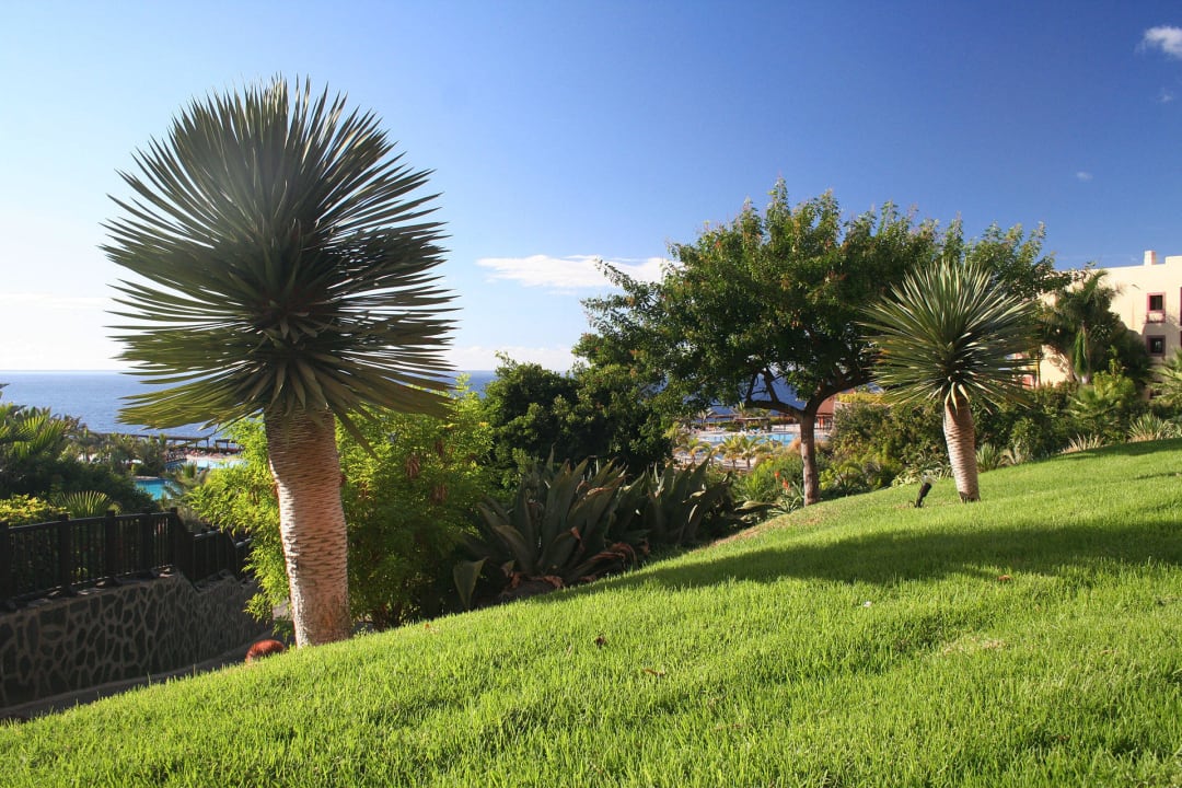 Vor der Lobby La Palma Princess