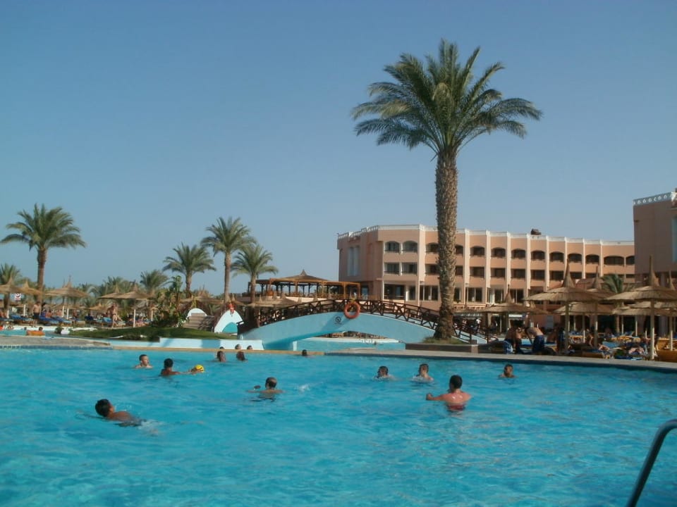Pool Beach Albatros Resort