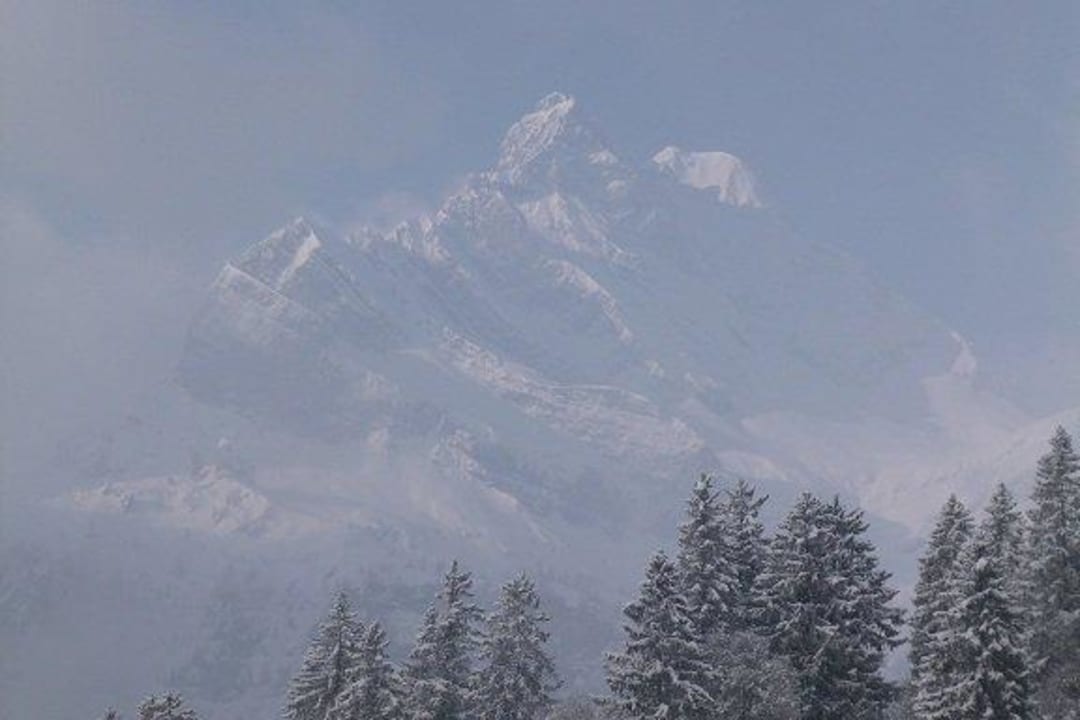 Aus dem Fenster Hotel Tödiblick
