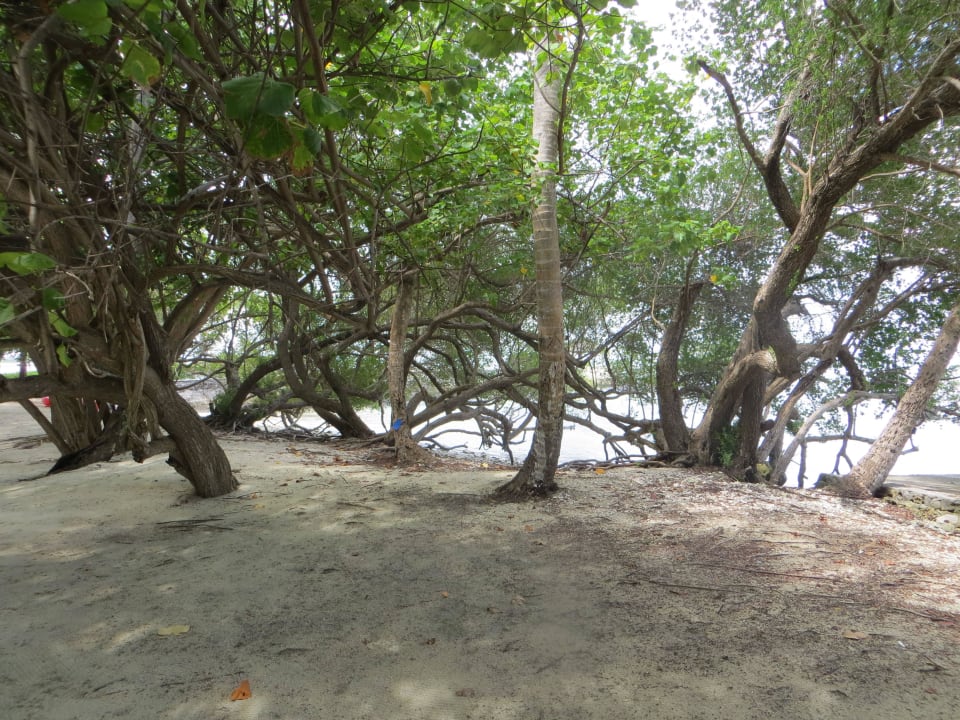 Unterwegs zwischen Strand und Bungalows Adaaran Select Hudhuran Fushi - Premium All Inclusive