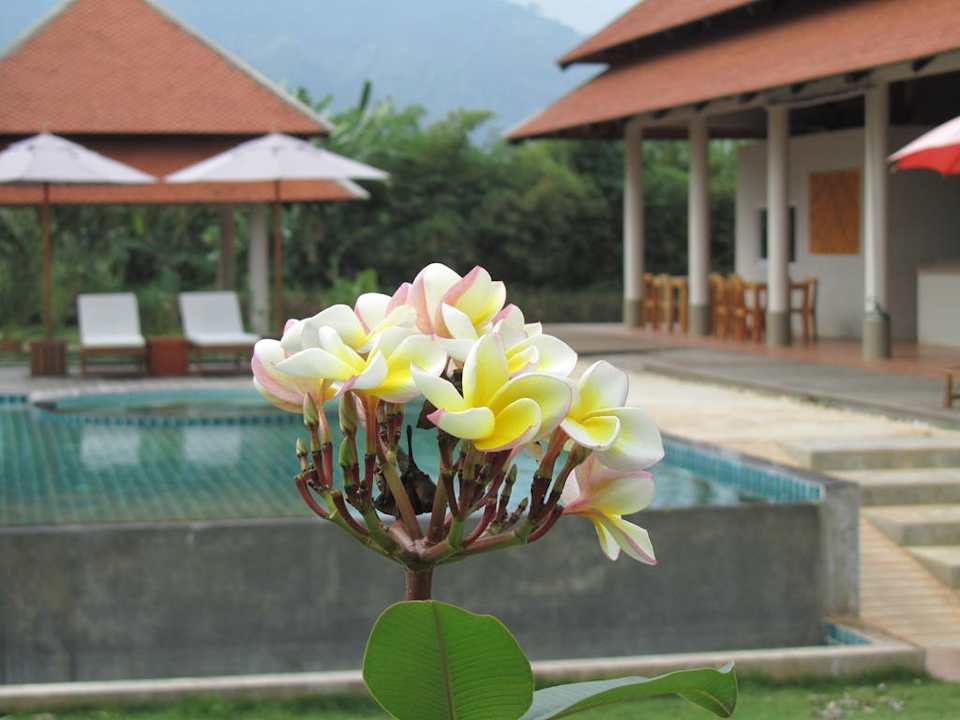 Vor unserer Terrasse Lucerne Villa Resort Khao Yai