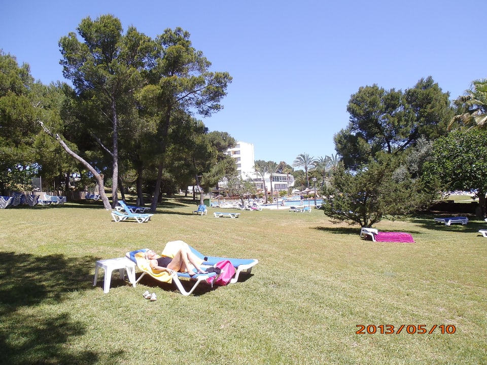 Gartenanlage mit Pool Hotel Exagon Park