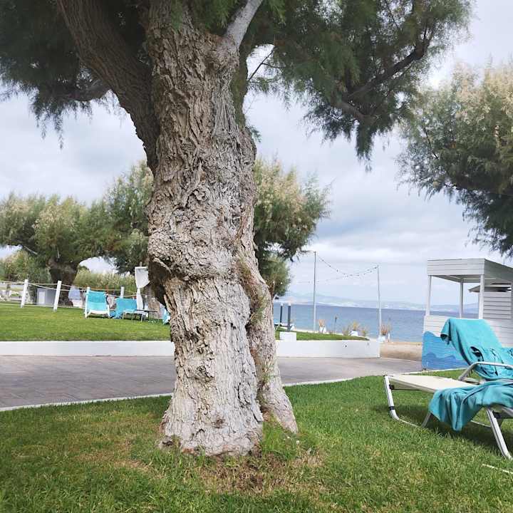 Strand TUI BLUE Oceanis Beach and Spa Resort