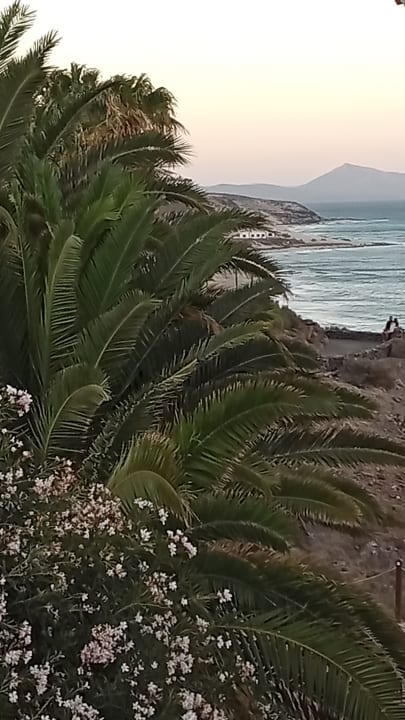 Strand Fuerteventura Princess