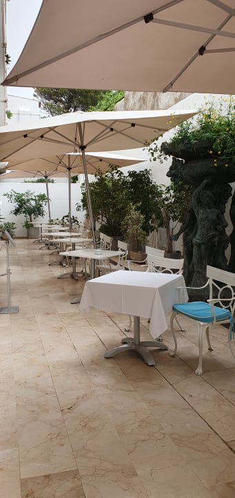 Gastro Sentido Fido Punta del Mar – Adults only