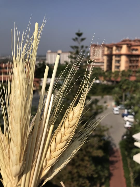 Außenansicht Seher Kumköy Star Resort & Spa