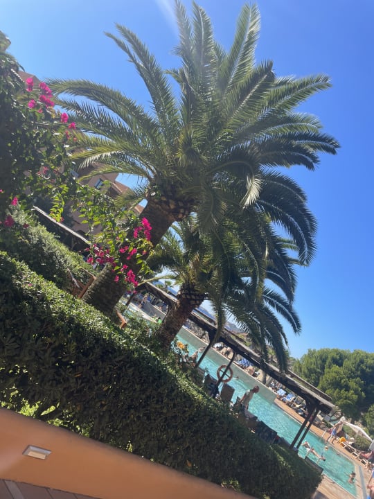 Pool Insotel Club Tarida Playa