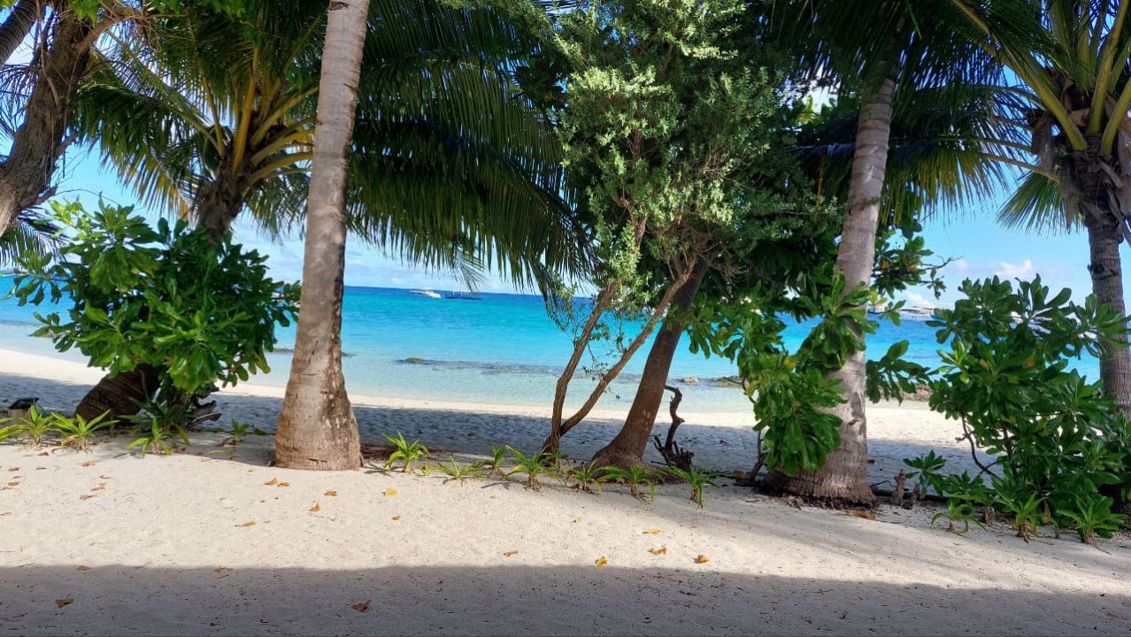 Außenansicht Kuramathi Maldives