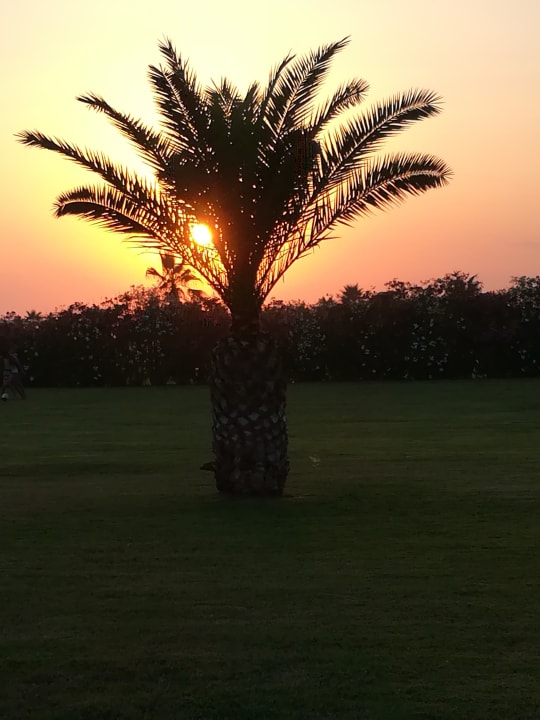 Gartenanlage Sunis Elita Beach Resort & Spa
