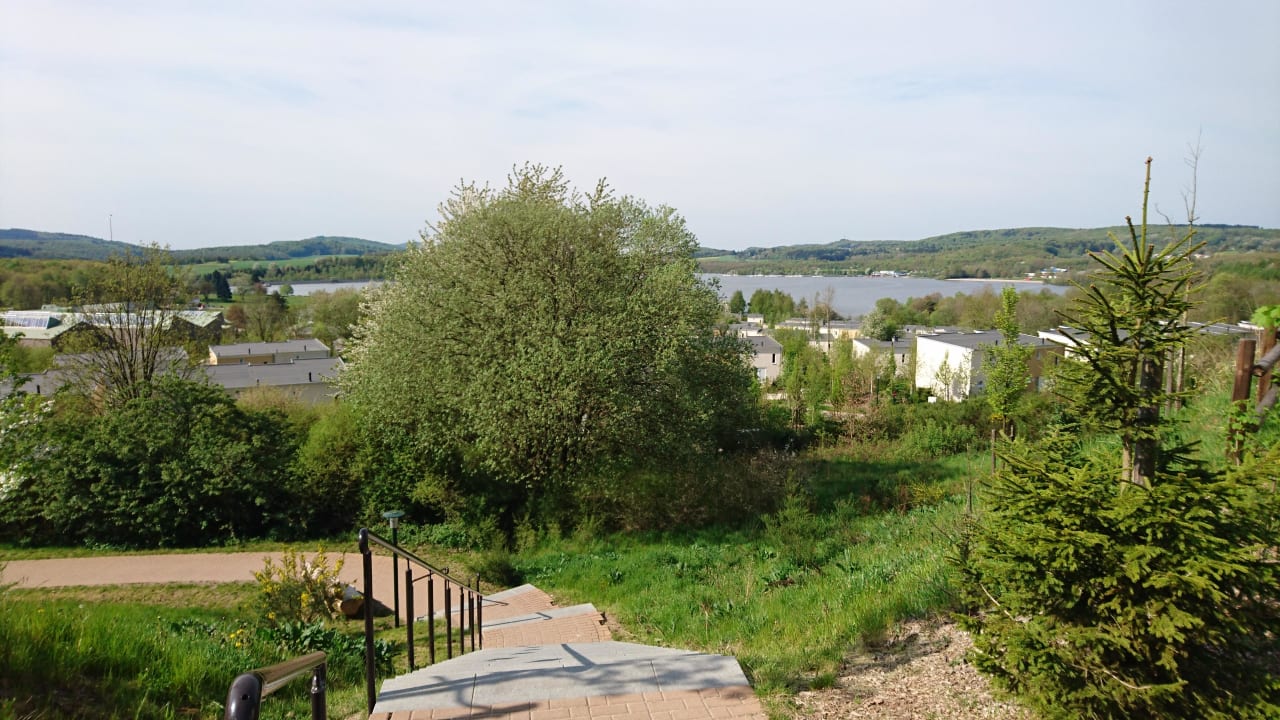 Ausblick auf den See Center Parcs Park Bostalsee