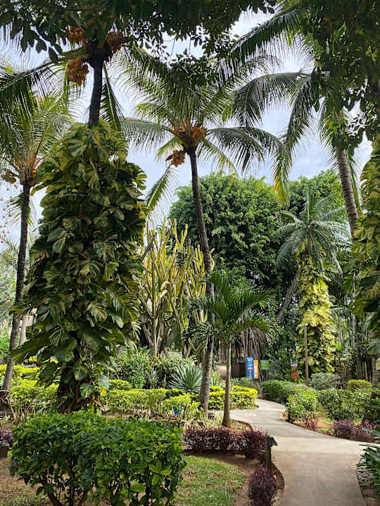 Gartenanlage Lagoon Attitude - Adults only