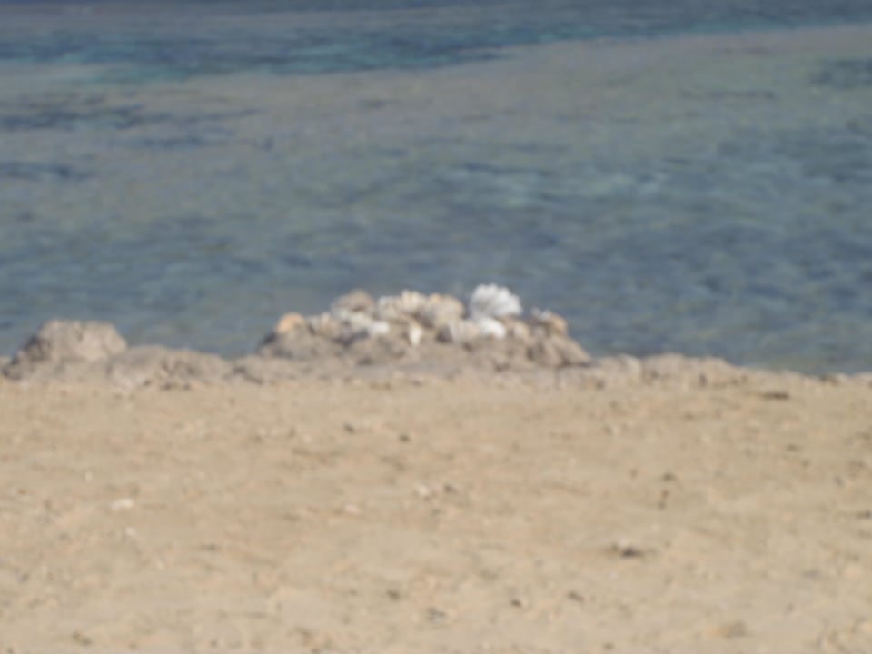 Strand und Meer Three Corners Happy Life Beach Resort