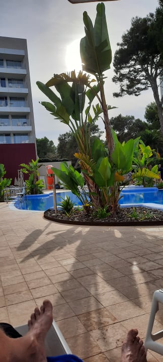 Pool Hipotels Bahía Cala Millor