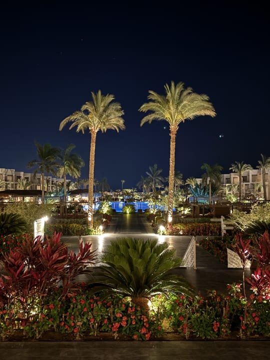 Gartenanlage Steigenberger Resort Ras Soma