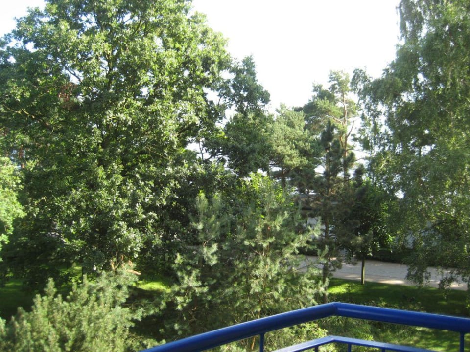 Haus Ostseeperle IFA Rügen Hotel & Ferienpark