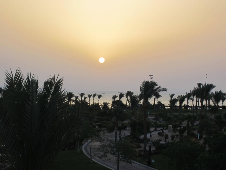 Zum Sonnenaufgang Steigenberger ALDAU Beach Hotel
