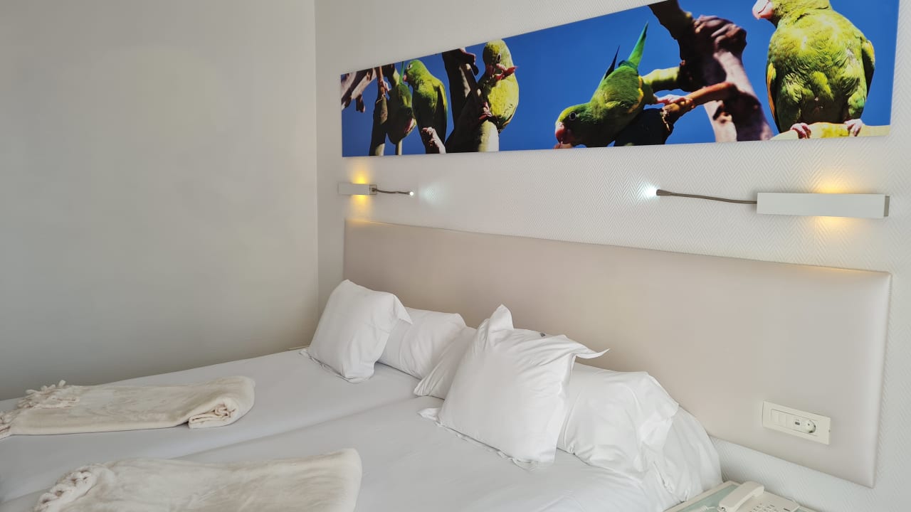 Zimmer Iberostar Waves Bouganville Playa