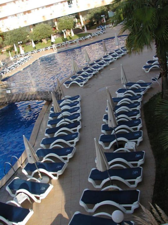 Liegen am Pool Hotel Tropic Garden