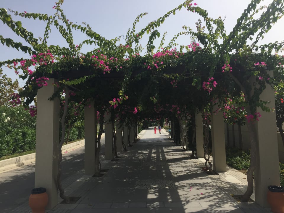 Gartenanlage Astir Odysseus Kos Resort & Spa