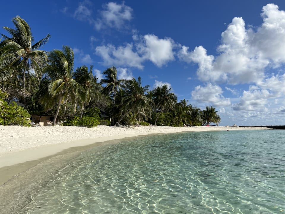 Strand Summer Island Maldives