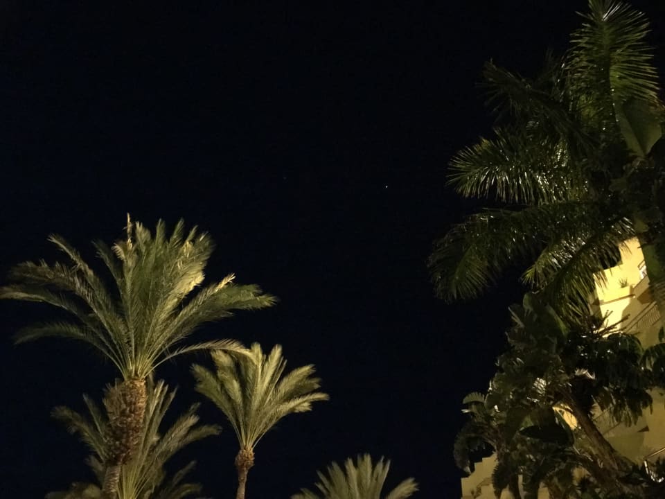 Außenansicht Hotel Riu Buenavista