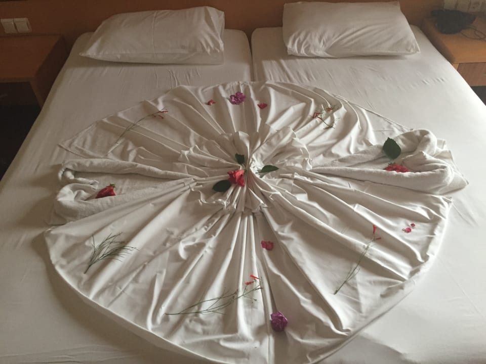 Zimmer Side Sun Hotel