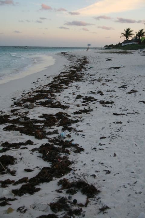 Strand Catalonia Royal Tulum Beach & Spa Resort - Adults only