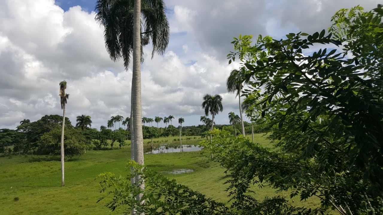 Gartenanlage Punta Cana Princess All Suites Resort & Spa