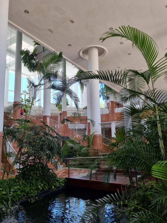 Gartenanlage Landmar Playa La Arena