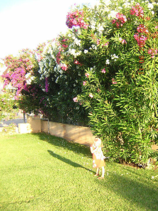 Blütenpracht überall Protur Floriana Resort Aparthotel