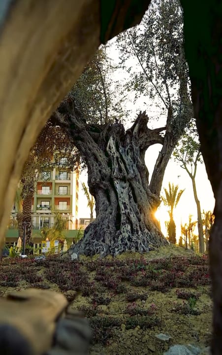 Außenansicht Dream Fun World