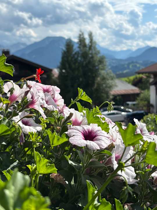 Ausblick Gästehaus Freudig & Jung