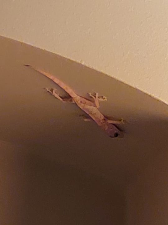 Sonstiges Mövenpick Resort El Quseir