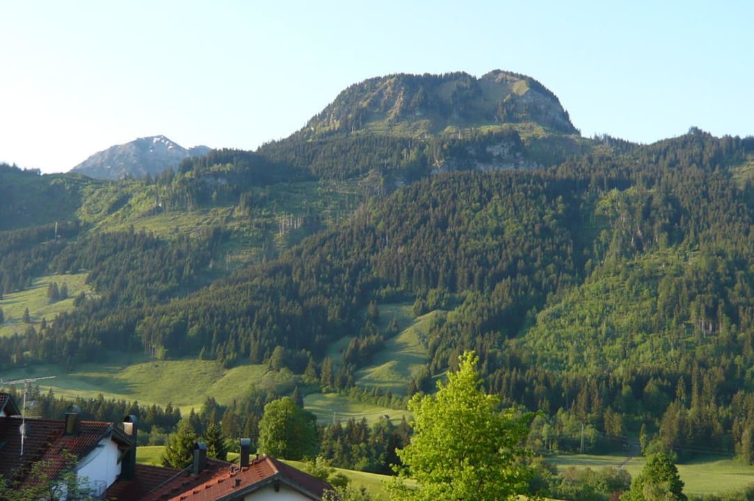 Ausblick vom Zimmer Schwandenhof  Ferienwohnungen